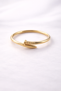Anillo de Clavo